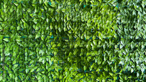 A close-up photo of an artificial green leafy wall background.