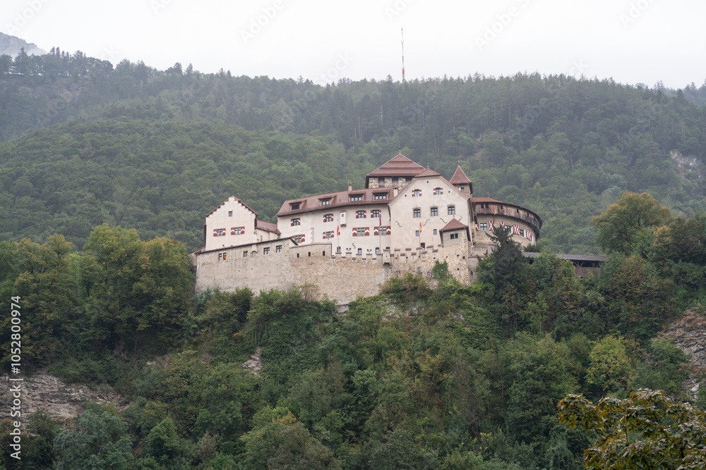 Scenic view of a historic castle nestled in lush greenery Scenic view of a historic castle nestled in lush greenery