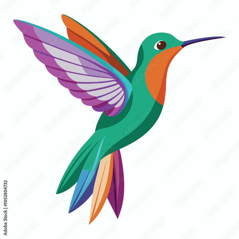 hummingbird vector illustration on white background hummingbird vector illustration on white background