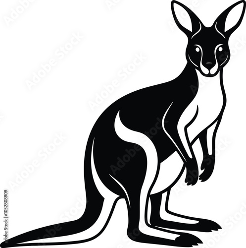 kangaroo illustration on white background