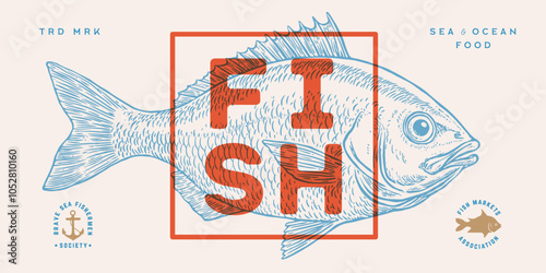 Gilt-head bream, fish, Dorado, seafood, sketch. Vintage retro print, seafood fish sketch, logo sign template, ink pencil style drawing, engrave old school. Hand drawn sketch fish. Vector Illustration