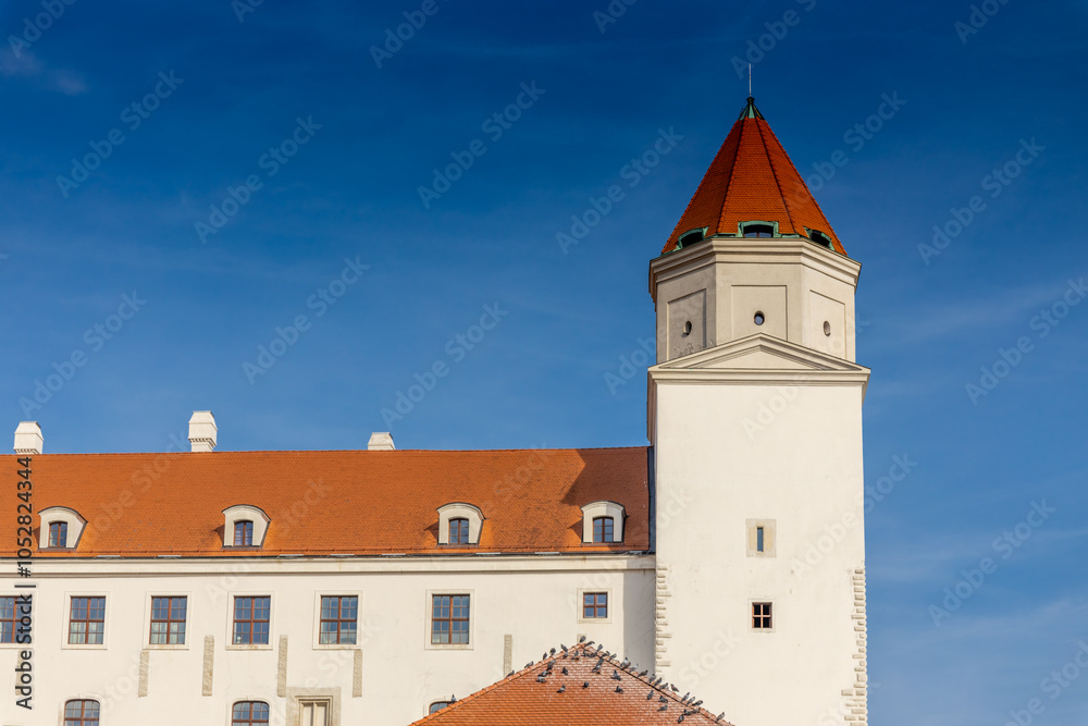 Bratislava, the capital of Slovakia cityscape. The churches and castle in the old city center Bratislava, the capital of Slovakia cityscape. The churches and castle in the old city center