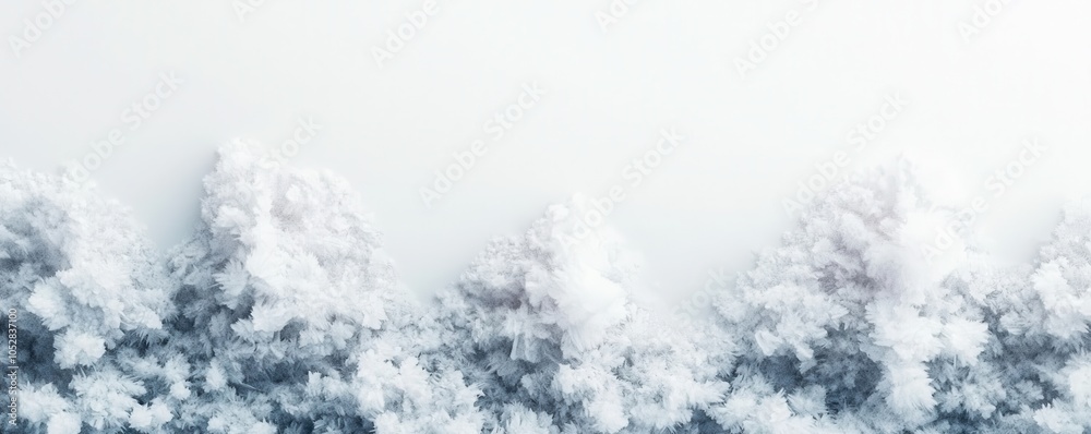 A serene winter landscape featuring frost-covered trees under a pale sky. A serene winter landscape featuring frost-covered trees under a pale sky.