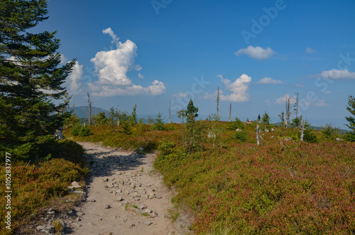 Fototapeta Naklejka Na Ścianę i Meble -  Multi-coloured panorama in the Beskid Mountains on the way to Barania Gora