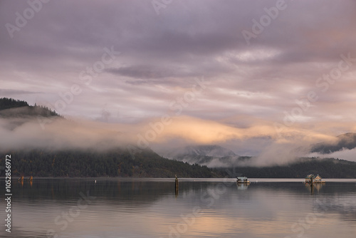 Fog hangs over sailboats and floating houses anchored in Cowichan Bay, off Vancouver Island; Duncan, British Columbia, Canada photo