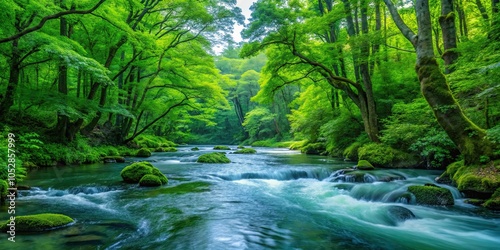 Scenic view of Oirase River flowing through lush forests in Aomori Prefecture in August, Aomori, Japan