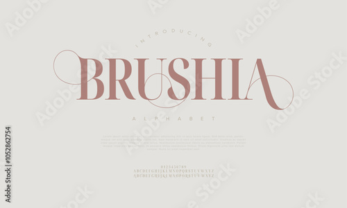 Brushia typography beauty fashion elegant minimalist serif italic fonts decorative wedding vintage retro logos. Minimal luxury font alphabet logo. Vector illustration