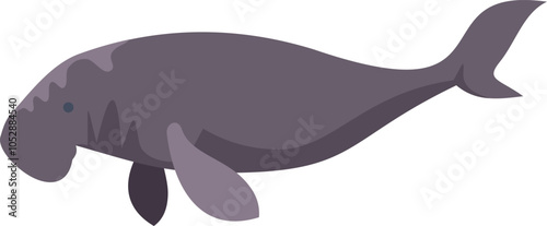 Large sea cow dugong swimming underwater with tail and flippers visible