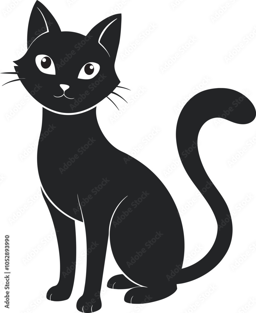 black and white cat black and white cat