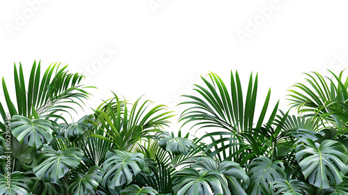 Fresh Green Palm Leaves Border on Transparent Background