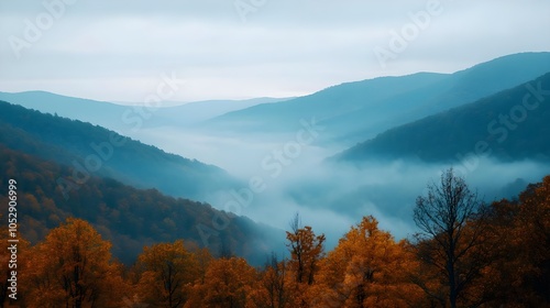 Misty Mountain Landscape