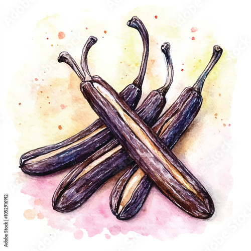 Vanilla bean fruit watercolor clipart illustration