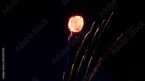 Fireworks in the night sky