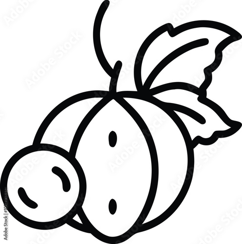 Simple line drawing of gooseberry with leaf