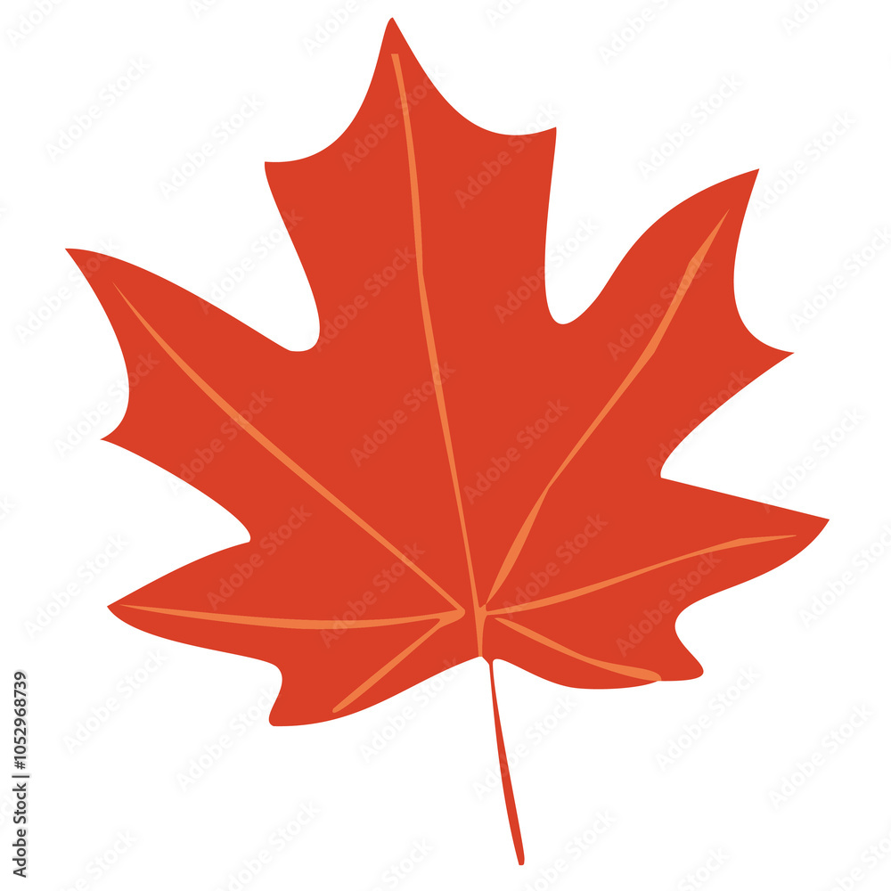 Naklejka premium maple leaf isolated on white