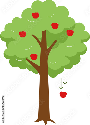 Law of Gravity Apple tree