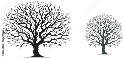 silhouette dead old leafless trees set isolated on white background. scary, spooky, horror, death, winter, pollution, etc concept. vector
