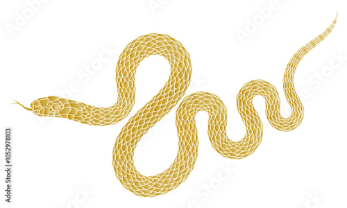 Illustration of a golden snake