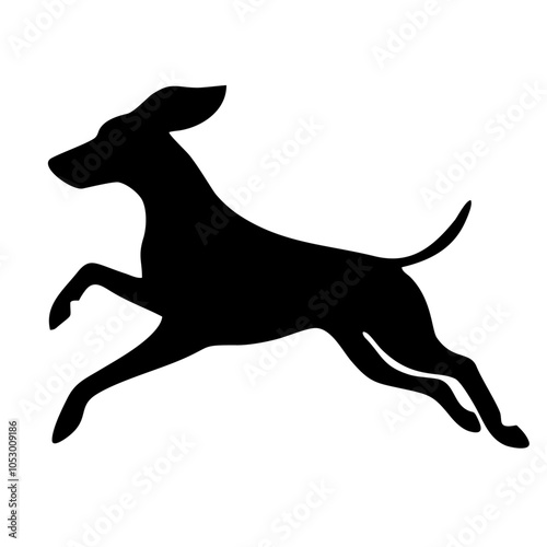 jumping free dog