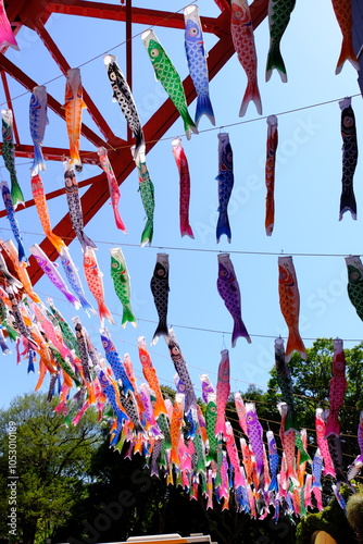 Koinobori flags