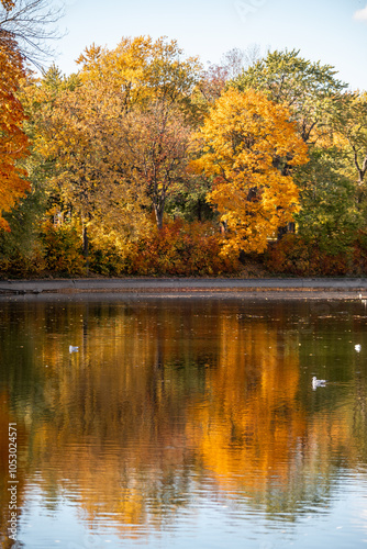 Le parc du Mont-Royal pendant l'automne à Montreal Canada