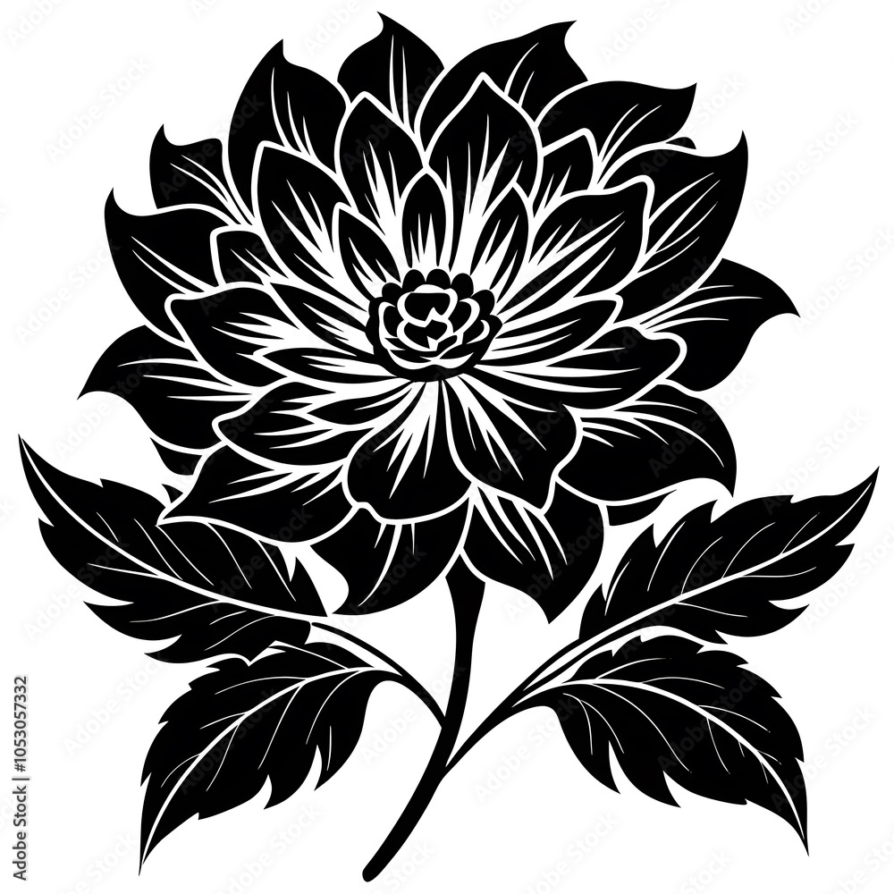 black and white flowers black and white flowers
