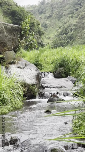 A natural mountain stream with crystal-clear water flowing over rocks and surrounded by wild grass. The gentle sound of water creates a peaceful, relaxing atmosphere, ideal for meditation or nature 