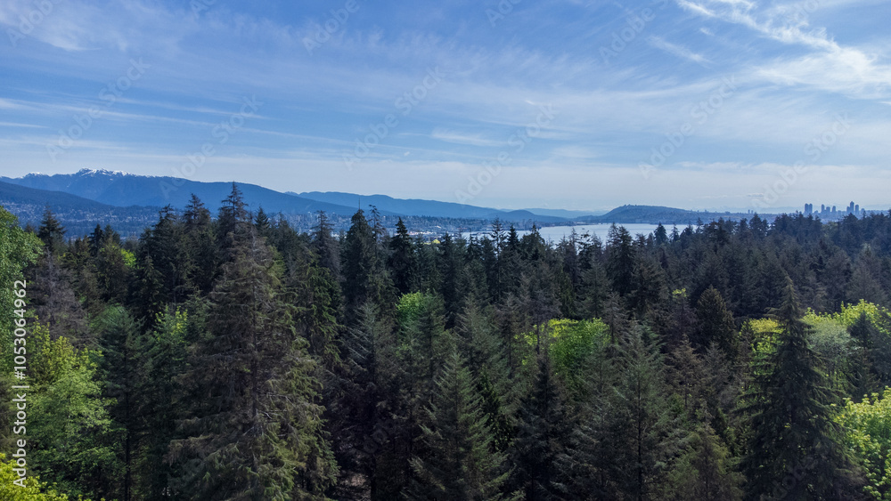 Aerial view of tree tops in Stanley Park. View of North Vancouver shore in the distance Aerial view of tree tops in Stanley Park. View of North Vancouver shore in the distance