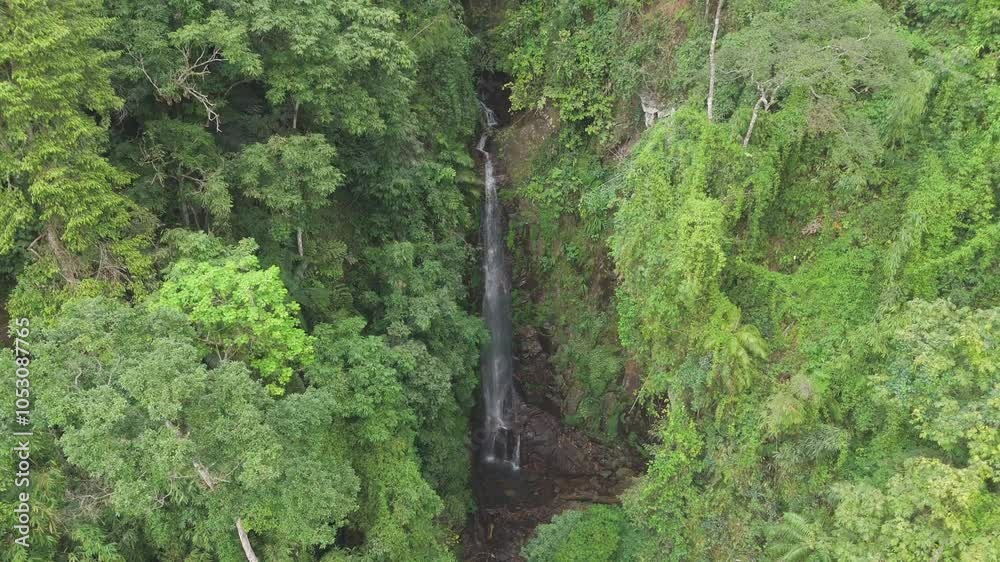 Experience the beauty of a hidden waterfall deep within Ha Giang’s lush jungle. This captivating aerial footage showcases the serene flow of water amidst the vibrant greenery of northern Vietnam. Experience the beauty of a hidden waterfall deep within Ha Giang’s lush jungle. This captivating aerial footage showcases the serene flow of water amidst the vibrant greenery of northern Vietnam.
