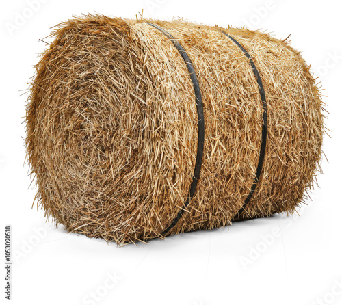 Round hay bale with twine photo