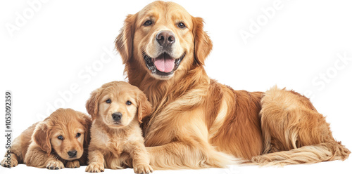 Golden Retriever mom with pups