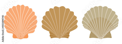 Cute scallop set cute cartoon style. Seashell collection on white background.