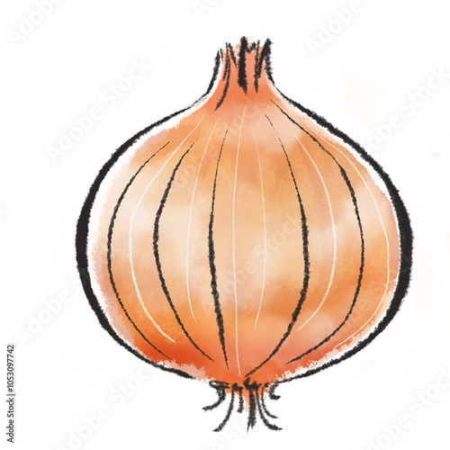 タマネギ　　イラスト　野菜
