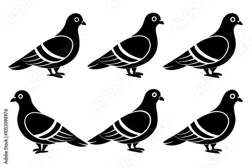 pigeon bird icons design silhouette vector illustration