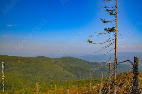 Fototapeta Naklejka Na Ścianę i Meble -  Multi-coloured panorama in the Beskid Mountains on the way to Barania Góra