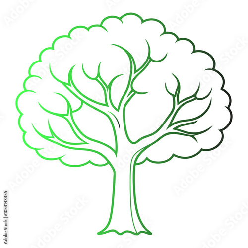 Trees are perennial, woody plants with a single main stem or trunk supporting branches and leaves.