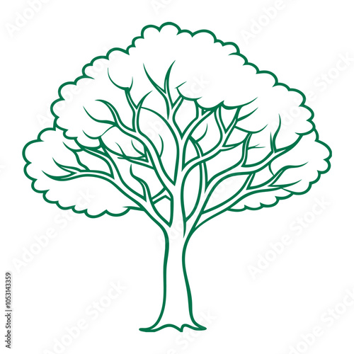 Trees are perennial, woody plants with a single main stem or trunk supporting branches and leaves.