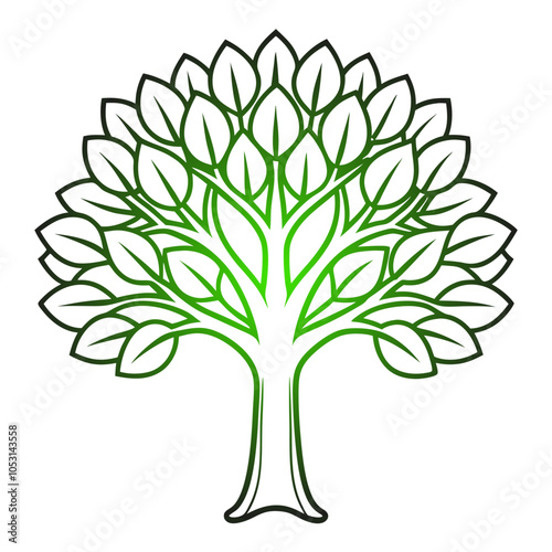 Trees are perennial, woody plants with a single main stem or trunk supporting branches and leaves.