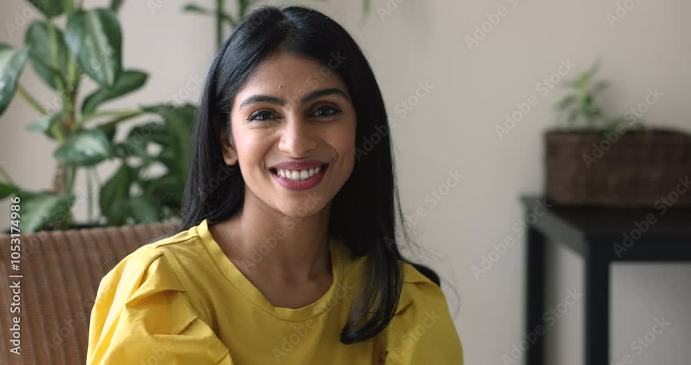 Serious attractive beautiful Indian woman looking at camera, posing for home portrait, sitting in armchair with green potted plant decoration in background, getting happy, smiling, laughing