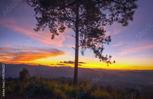 Sunset in the mountains in late autumn. Beautiful autumn colors.The vibrant orange and pink hues contrast with the clear blue sky, creating a tranquil and scenic landscape