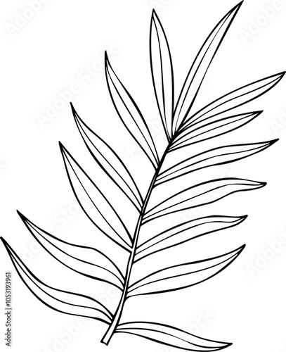 Vector dypsis, areca palm or Cycas leaves isolated line art black ink sketch. Tropical monochrome tree leaf silhouette. Houseplant element for printing wall art, package, label