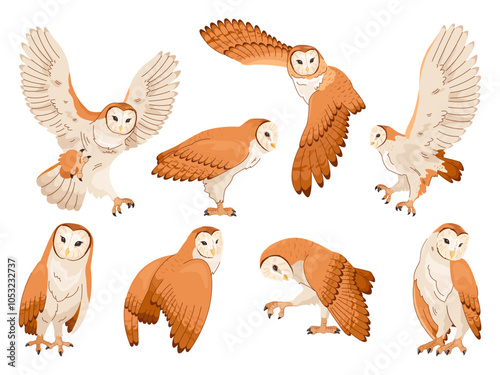 Barn owl. Tyto alba owls, forest bird with snowy face and brown plumage wings flying and sitting poses, night prey animal cartoon isolated birds set swanky vector illustration