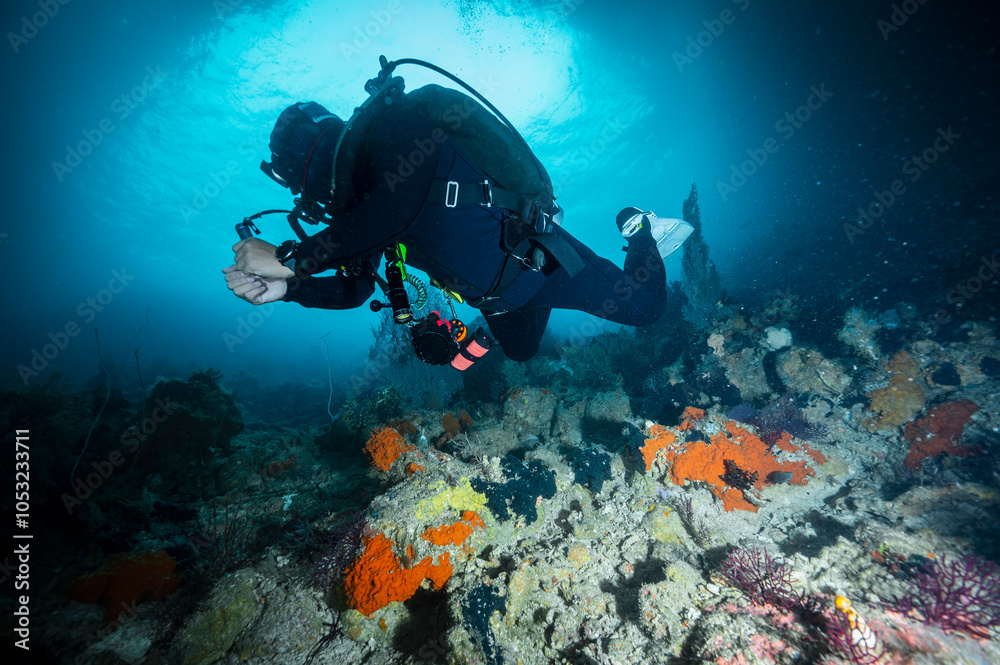 custom made wallpaper toronto digitaldiver exploring coral reef in the clear water of Raja Ampat