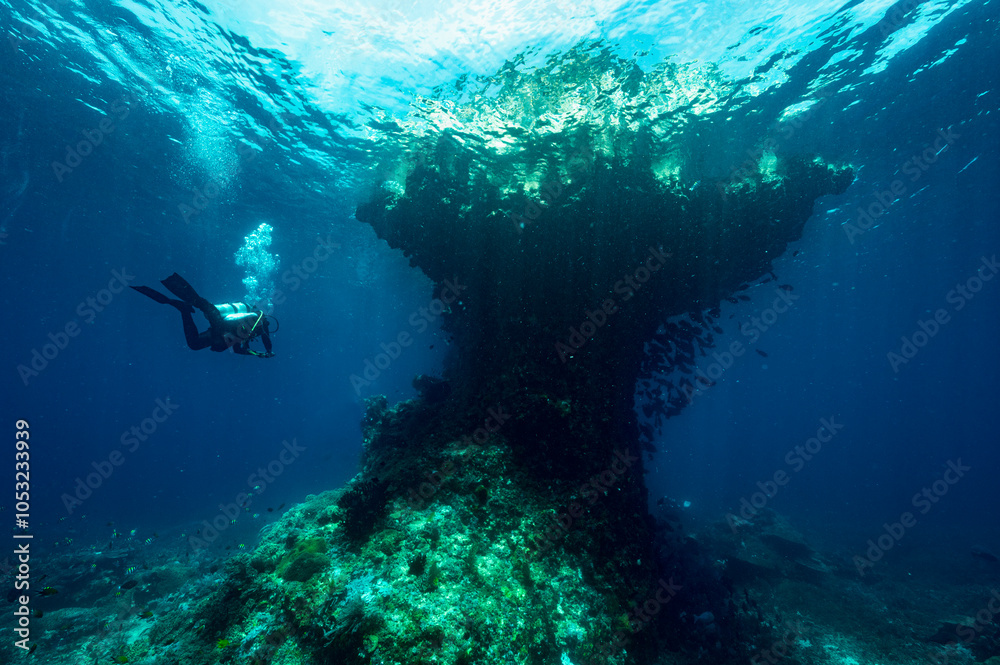 diver exploring small island in Raja Ampat diver exploring small island in Raja Ampat