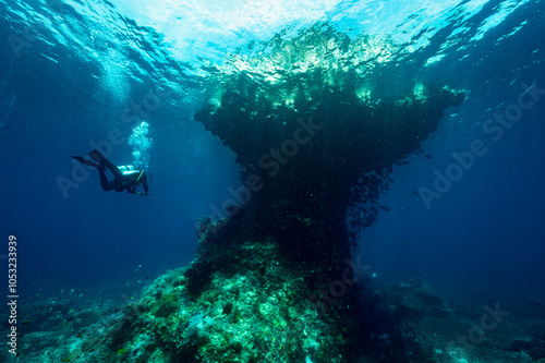 Wallpaper Mural diver exploring small island in Raja Ampat Torontodigital.ca