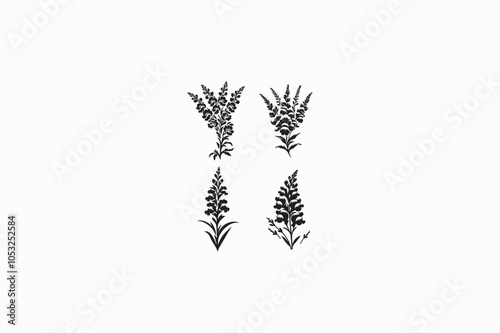 A Snapdragon flower vector silhouette image made by adobe illustrator..eps