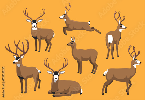 Mule Deer Various Poses Character Vector Illustration