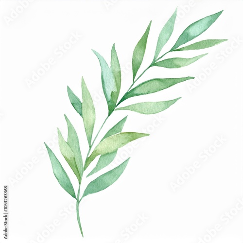 Watercolor long green botanical leaves branch isolated