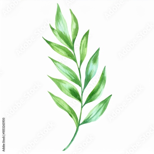 Watercolor long green botanical leaves branch isolated