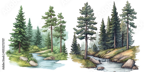 Illustration of a forest with pine trees and a river. on a white background